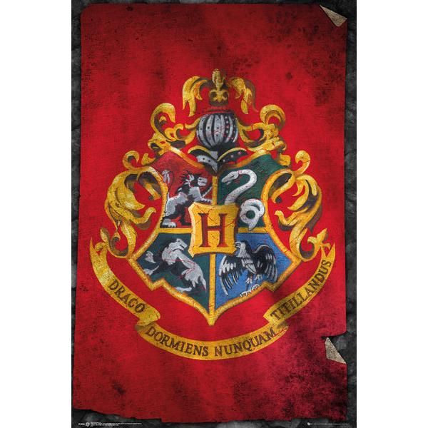 Harry Potter Universe Flags