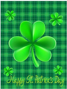 Custom made clover Garden Flag