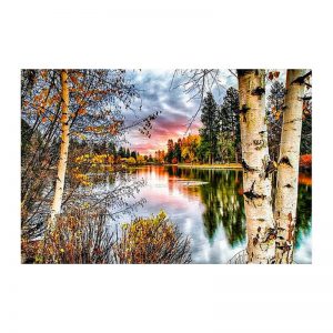 Custom made living room famous painting flags