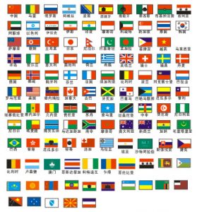 Customize the flags you need