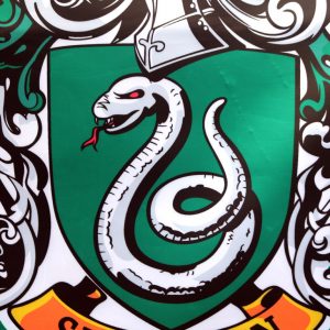 Custom Harry Potter flag forever