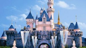 Custom made American Disneyland flags