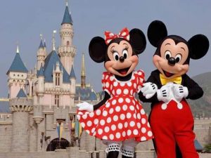 Custom made American Disneyland flags