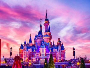 Custom made American Disneyland flags