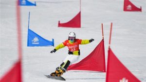 Custom the most beautiful ski flag