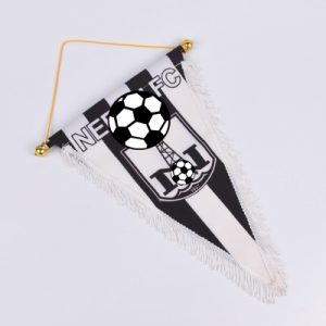 Custom exquisite advertising triangle flags