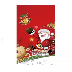 Custom made lovely Christmas flags