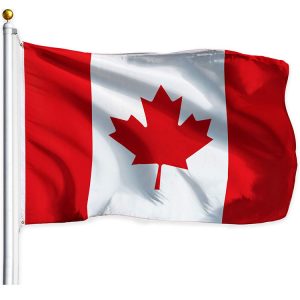 Custom made national flags of different countries